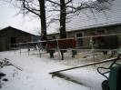Pensionspferdehalter 2010