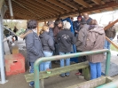 VLF Bundesseminar Pensionspferdehaltung_73